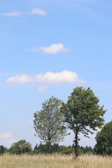 Obraz premium Landschaft