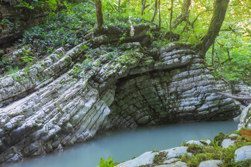 Fototapeta premium anticlinal fold of limestone over a mountain river. Caucasus nature reserve
