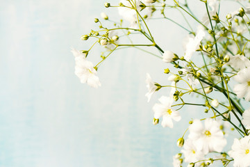 Bouquet of gypsophila on a light blue background. Small white flowers
