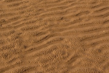 Prints and  patterns  in the  sand  on the  beach