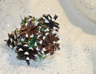 Pine cones on a white background.