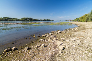 August 16 2018. Drought in Germany. Low water of the  Rhine river near Eltvile. Hesse. Germany.