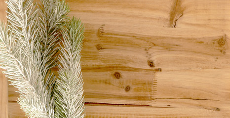 Zweig vor Holz, Freiraum, beschreibbar