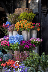 Colorful variety of flowers sold in the market in London.