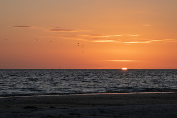 Flock of birds fly across the sunset view on Fort Myers Beach of Estero Island.