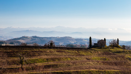 Sunset in the vineyards of Collio, Italy