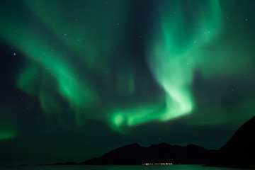 Amazing Aurora Borealis in North Norway (Grotfjord), mountains and sea in the background