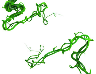 Plant Vines Green, Two Corner Meet