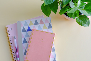Minimal pastel work space with notebooks, calendar, pen and plant