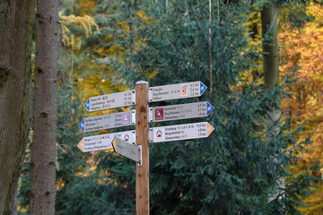 wanderwegweiser im binger wald