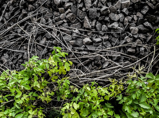 stones with branches and leaves