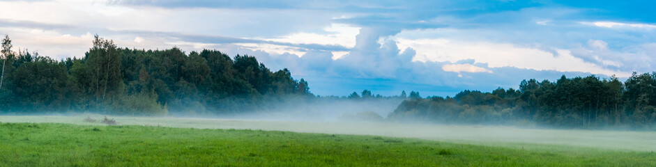 landscape with mist and forest