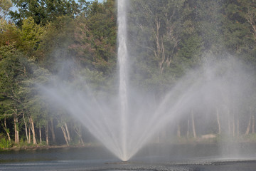 fountain in the park