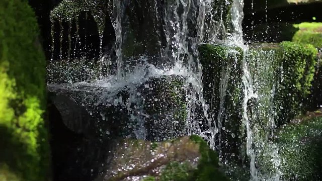 Waterfall in the forest, forest small waterfall in Creek, forest stream with waterfall, Stones and rocks covered by moss along water stream flowing through green summer forest