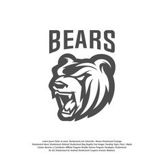 Bear Logo design vector. Modern professional grizzly bear logo for a sport team