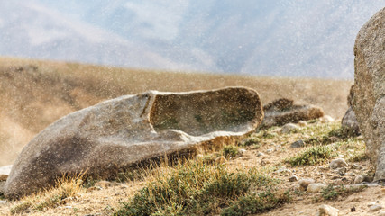 Thousands of small flies on Lake Bulunkul