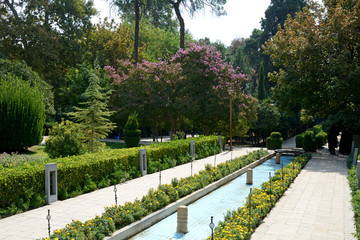 Bagh-e Eram Persian garden, Shiraz, Iran
