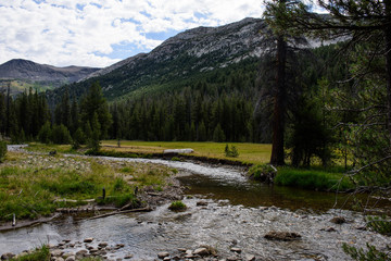 Fototapeta na wymiar River and Mountains in Yosemite