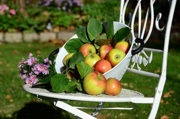 Äpfel in einem Sieb