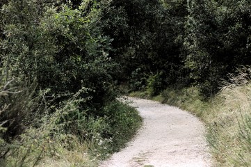 Trekking pathway - Beaten track - Beaten road (Marche, Italy, Europe)