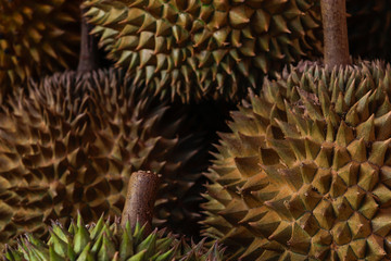 Naklejka na ściany i meble Background surface of spiky durian fruits