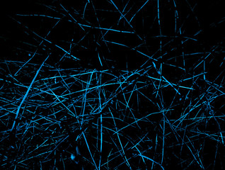 background abstraction of dry branches on a black background a bright color 3
