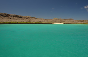 Galapagos beach
