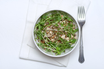 A plate of micro-green salad. Vegetarianism. Healthy diet