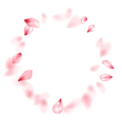 Pink sakura flower flying petals isolated on white vector background.