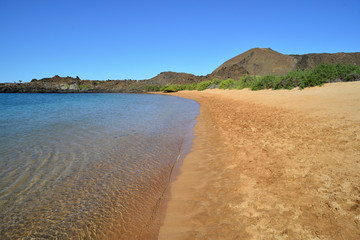 Galapagos island beach