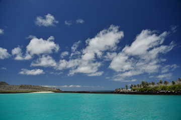 Galapagos beach 