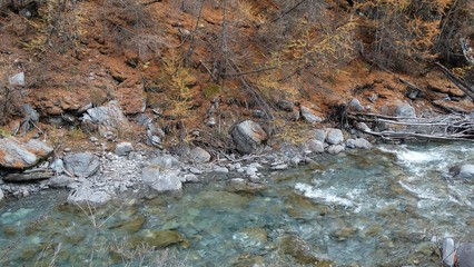 Rivière et tapis et d'aiguilles