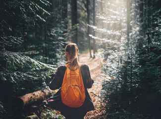 woman hiker walking on the trail in pine woods with wonderful backlight from sun on background