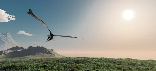 Abwaschbare Fototapete Adler Adler fliegt in den Wolken