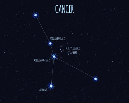Cancer Constellation Photos Royalty Free Images Graphics Vectors Videos Adobe Stock