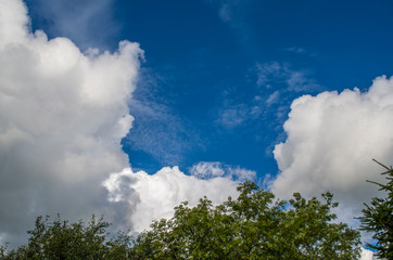 Summer. White Cumulus clouds