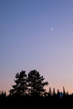 Small crescent moon over mountains and trees at sunset