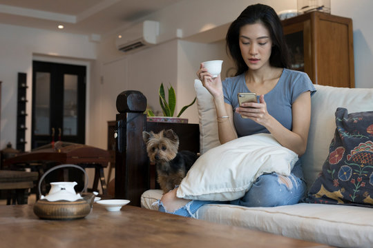 young asian woman on sofa with dog and phone