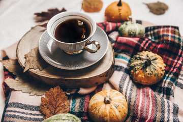 Autumn still life with cup of tea, plaid, pumpkin and leaves. Cozy background