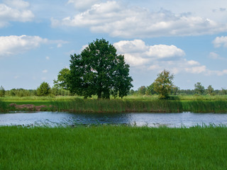 Steenwijkerland