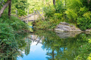 Fototapeta na wymiar river and wood bridge at forest