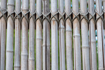 Bamboo wall, Bamboo fence background