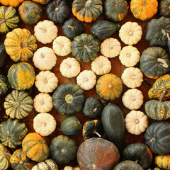 alphabet, letter m, pumpkin, food