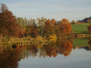 Herbstlandschaft am See