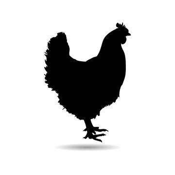recommend clip art: Black Chicken (Hen) logo, chicken silhouette icon