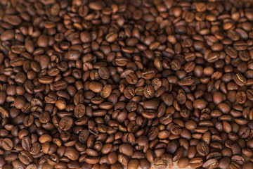 Closeup of fragrant roasted coffee beans on a wooden board. Selective focus. place for text.