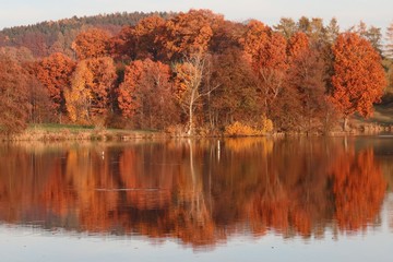 Herbstliche Landschaft am See
