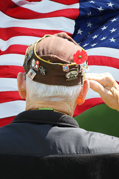 Veteran Saluting at Memorial Ceremony