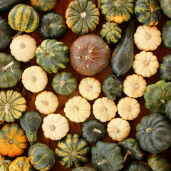alphabet, letter w, pumpkin, food