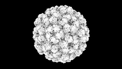 3D CG rendered image of scientifically accurate Brome Mosaic Virus Capsid based on PDB : 3J7L (surface style - monochrome)